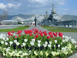 Заказать жалюзи в Новороссийске